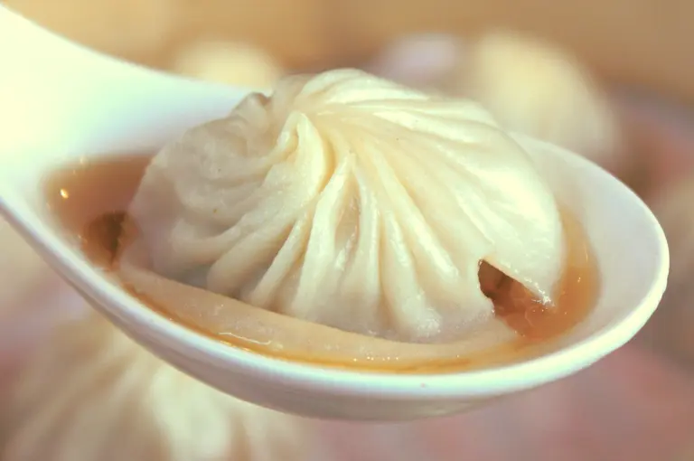 Macro close-up shot of a single xiao long bao soup dumpling resting on a ceramic spoon, filled with hot broth and minced pork. Shot angle: Extreme close-up / macro